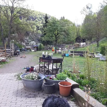 Fräulein Pusteblume