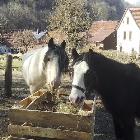 Fräulein Pusteblume Zorge